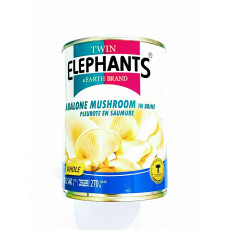 เห็ดนางรม กระป๋อง540g ตราELEPHANTS