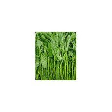 ★500g★ ผักบุ้ง