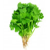 ★1kg★ ผักชีไทย